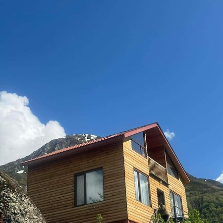 Alpine Night Ალპური Ღამე Hotel Juta Eksteriør billede